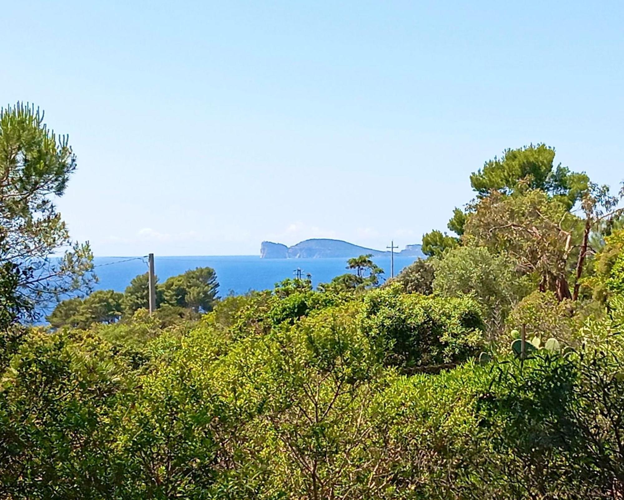 Alghero Villa Barranch With Sea View Swimming Pool For 6 People Dış mekan fotoğraf