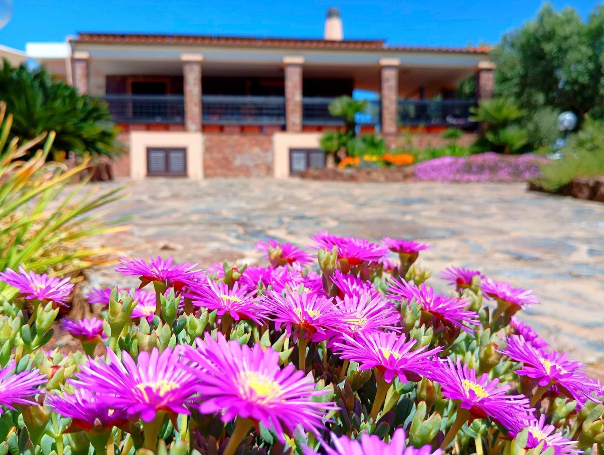 Alghero Villa Barranch With Sea View Swimming Pool For 6 People Dış mekan fotoğraf